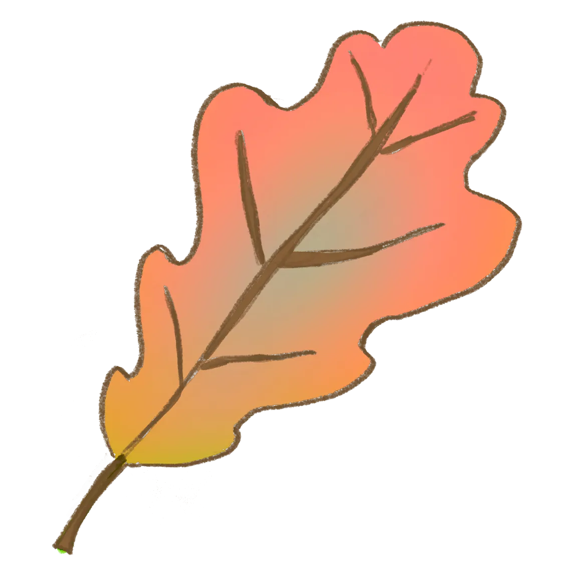 Oak Leaf 1