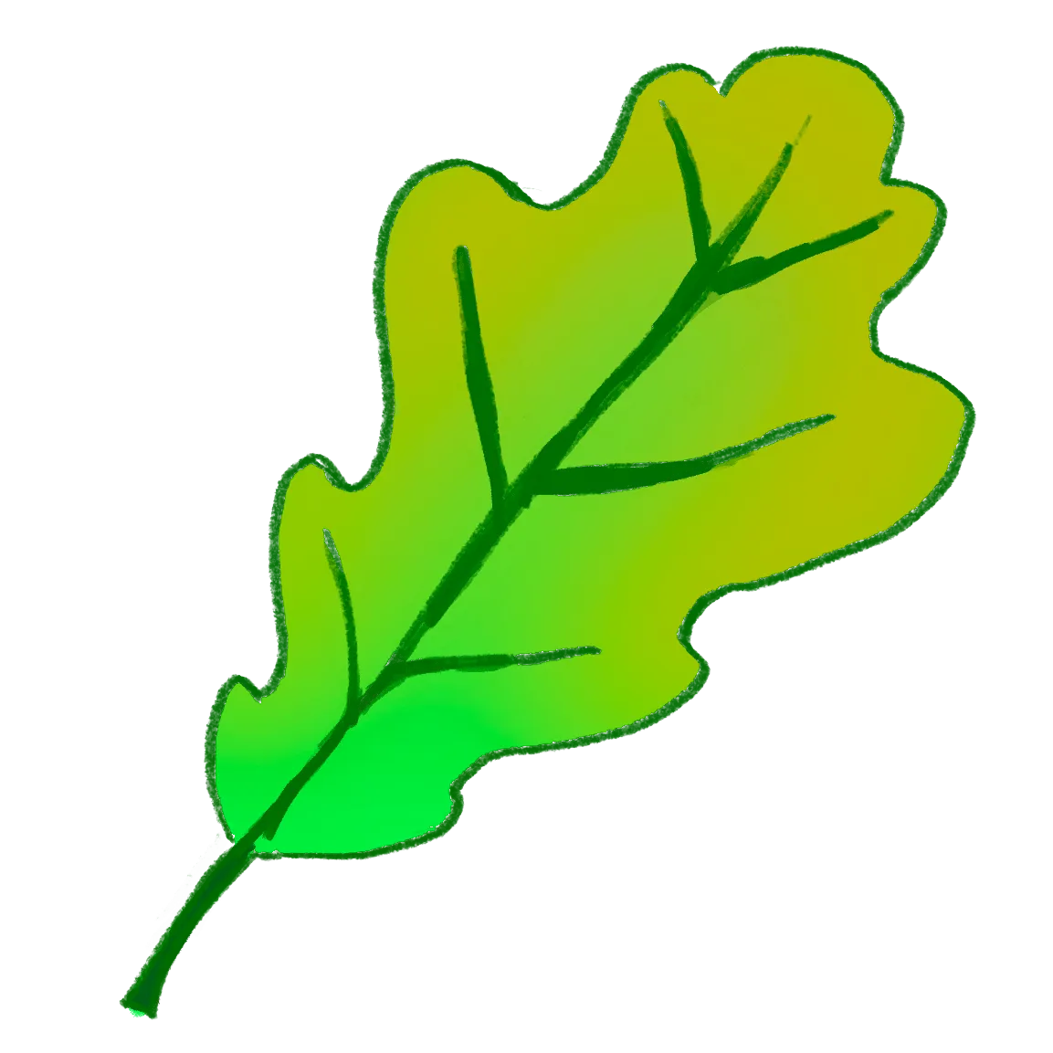 Oak Leaf 2