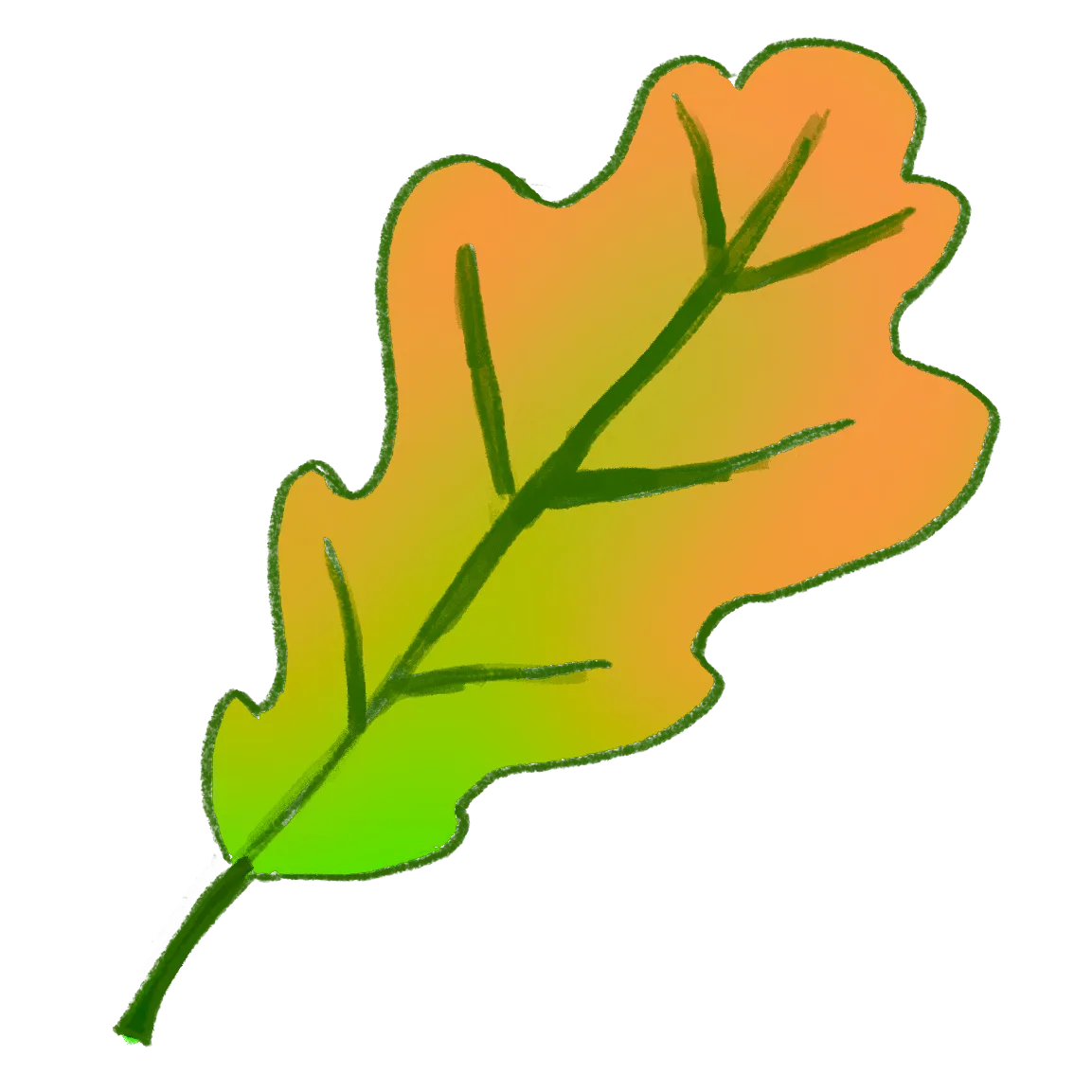 Oak Leaf 3